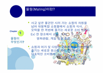 [신 소비트렌드] 몰링(Malling)-2