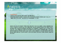 [인적자원관리] SAS사 인사관리 적용의 한계-7