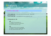 [인적자원관리] SAS사 인사관리 적용의 한계-13