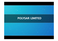 [회계] 폴리사 POLYSAR LIMITED 사례-1