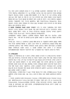 삼성 테스코의 한국 진출 전략 -테스코 한국진출과 홈플러스 역수출 중심-11