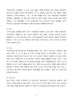 숙명여대 앞 크리스피 크림 도넛 마케팅전략-20