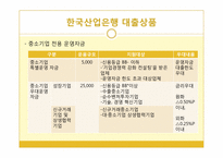 특수은행 레포트-11