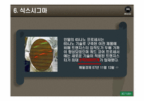 모토로라의 품질혁신-11