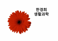 [국제마케팅] 한경희 생활과학 마케팅 전략-1