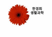 [국제마케팅] 한경희 생활과학 해외진출-1