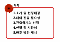 [국제마케팅] 한경희 생활과학 해외진출-2