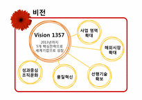 [국제마케팅] 한경희 생활과학 해외진출-5