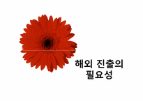 [국제마케팅] 한경희 생활과학 해외진출-12