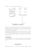 주사전자현미경의 노이즈(Noise) 제거방법에 대한 연구-4