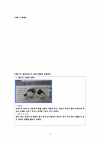 [가정과 교수-학습 과정안] 중학교 1학년Ⅰ(2)가족의 의사소통-19