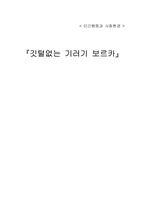 [장애아동] 깃털없는 기러기 보르카 책분석-1