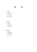 [장애아동] 깃털없는 기러기 보르카 책분석-2