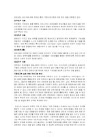 [장애아동] 깃털없는 기러기 보르카 책분석-15