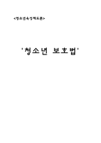 청소년 보호법 레포트-1