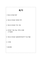 청소년 보호법 레포트-2
