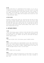 에이즈와 성병 레포트-11