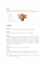 에이즈와 성병 레포트-12