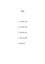[청소년프로그램개발] 청소년의 청소년에 의한 청소년을 위한 도서관 프로그램-2