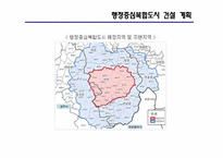 `행정중심복합도시` 세종시로 인한 서울의 도시문제 해결-9