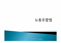 시민사회 -10가지 제도의 현황과 과제-9