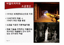 [유럽정치론] 폴란드 정치 경제-17
