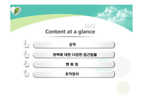 12장 권력과 정치-2