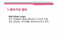 태아기 레포트-4