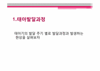 태아기 레포트-9
