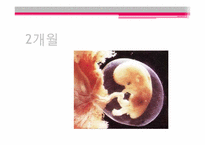 태아기 레포트-13