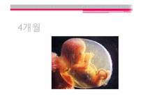 태아기 레포트-15