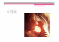 태아기 레포트-17