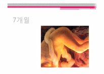 태아기 레포트-18