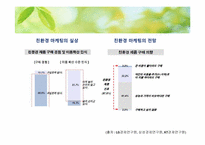 친환경 경영 레포트-11