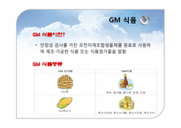 유전자재조합 생물체(GMO)-7