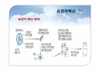 유전자재조합 생물체(GMO)-10
