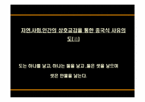 [종교학] 도교 레포트-16