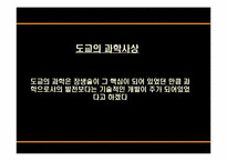 [종교학] 도교 레포트-17