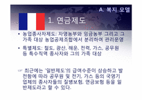 프랑스적 모델과 그 의미-6