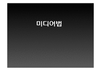 미디어법 레포트-2