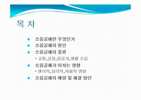 소음공해 레포트-2