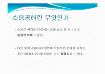 소음공해 레포트-3