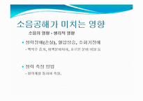 소음공해 레포트-11