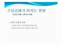 소음공해 레포트-12