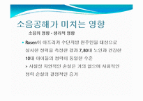 소음공해 레포트-15
