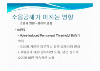 소음공해 레포트-16