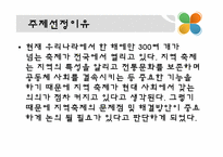 지역축제의 문제점 및 해결방안-3