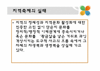지역축제의 문제점 및 해결방안-5