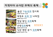지역축제의 문제점 및 해결방안-7