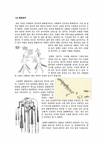 [언어학] 원시 문자의 다양한 사례 조사-3